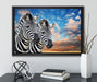 Zebra Pärchen auf Leinwandbild gerahmt mit Kirschblüten