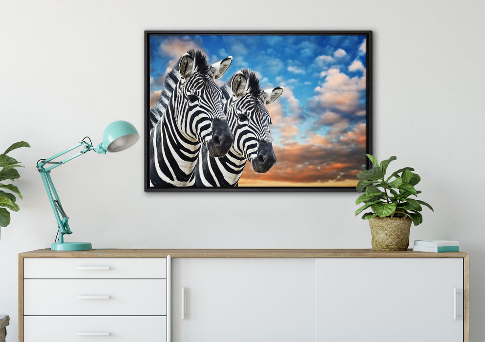Zebra Pärchen auf Leinwandbild gerahmt verschiedene Größen im Wohnzimmer