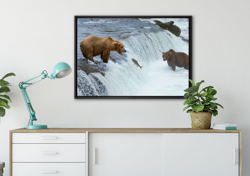 Bären fangen Lachs auf Leinwandbild gerahmt verschiedene Größen im Wohnzimmer