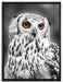 Eule mit orangen Augen auf Leinwandbild gerahmt Größe 80x60