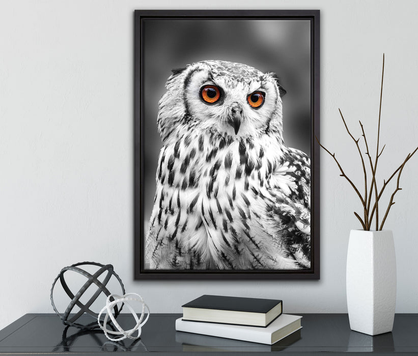 Eule mit orangen Augen auf Leinwandbild gerahmt mit Kirschblüten