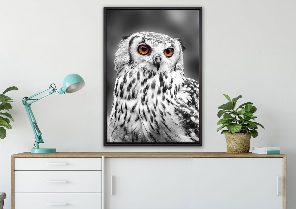 Eule mit orangen Augen auf Leinwandbild gerahmt verschiedene Größen im Wohnzimmer