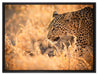Jagender Leopard auf Leinwandbild gerahmt Größe 80x60