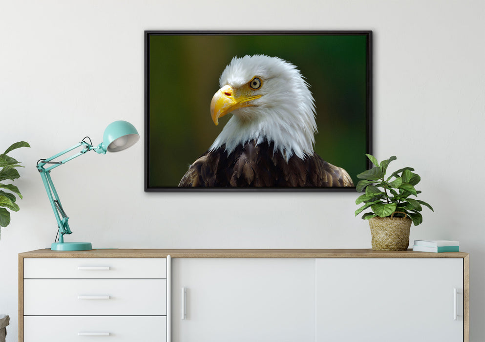 Mächtiger Weißkopfseeadler auf Leinwandbild gerahmt verschiedene Größen im Wohnzimmer