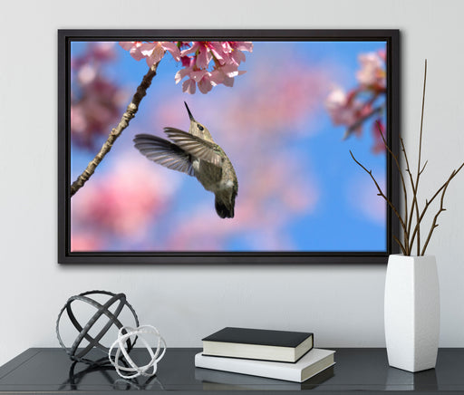 Kolibri an Kirschblüte auf Leinwandbild gerahmt mit Kirschblüten