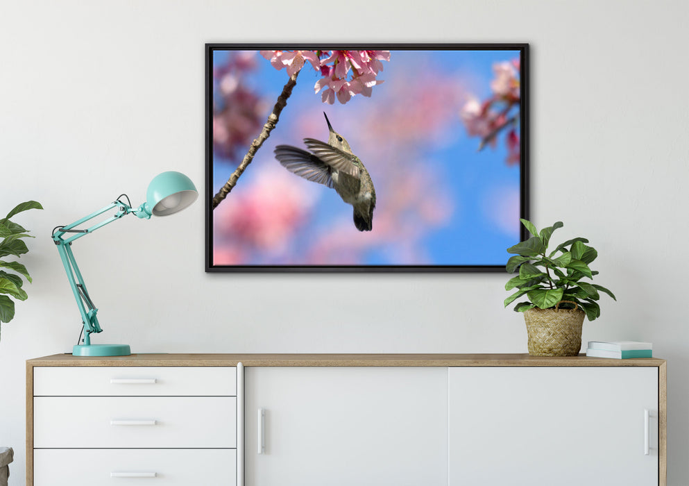 Kolibri an Kirschblüte auf Leinwandbild gerahmt verschiedene Größen im Wohnzimmer