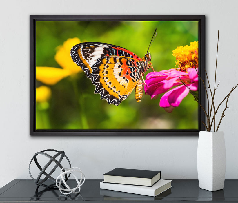 Schmetterling auf Blüte auf Leinwandbild gerahmt mit Kirschblüten
