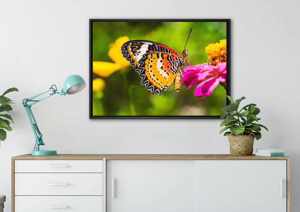 Schmetterling auf Blüte auf Leinwandbild gerahmt verschiedene Größen im Wohnzimmer