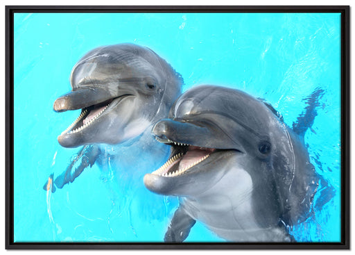 Delfinpaar auf Leinwandbild gerahmt Größe 100x70