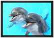 Delfinpaar auf Leinwandbild gerahmt Größe 60x40