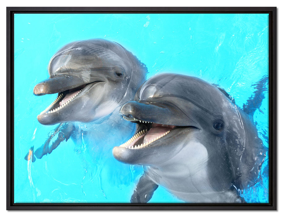 Delfinpaar auf Leinwandbild gerahmt Größe 80x60