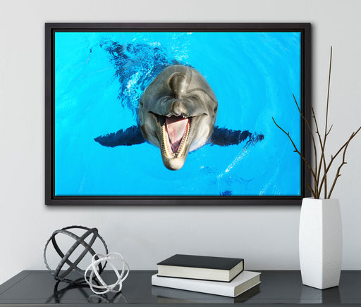 Delfin lacht auf Leinwandbild gerahmt mit Kirschblüten