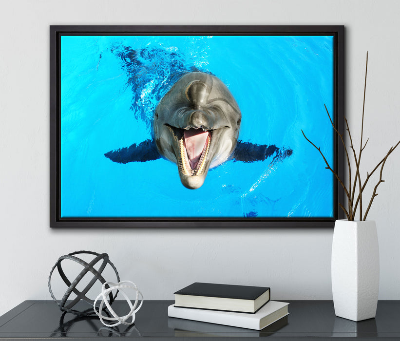 Delfin lacht auf Leinwandbild gerahmt mit Kirschblüten