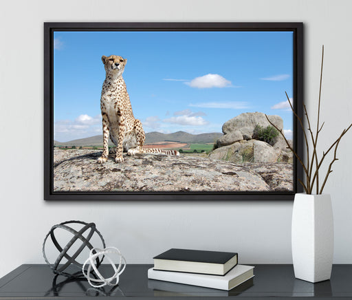 Wachsamer Gepard auf Leinwandbild gerahmt mit Kirschblüten