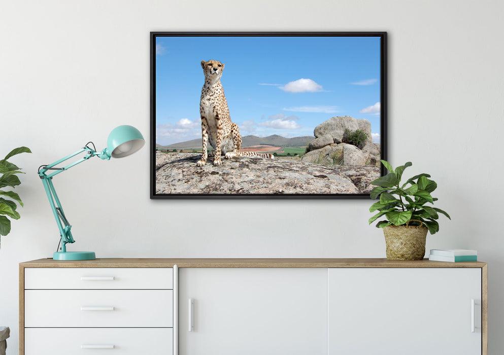 Wachsamer Gepard auf Leinwandbild gerahmt verschiedene Größen im Wohnzimmer