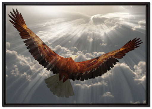 Adler über den Wolken auf Leinwandbild gerahmt Größe 100x70