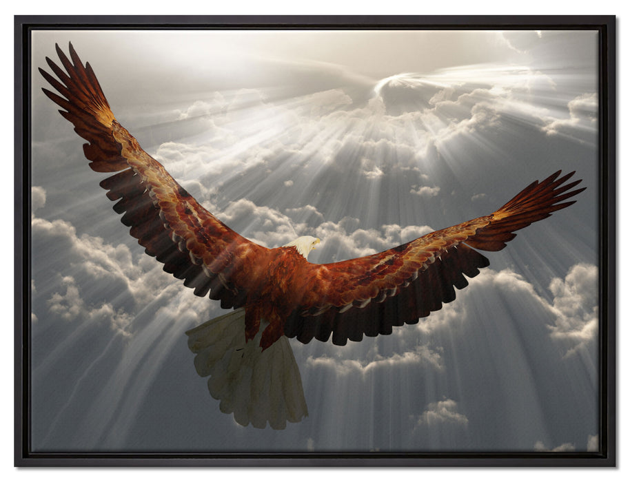Adler über den Wolken auf Leinwandbild gerahmt Größe 80x60