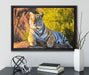 Stolzer Tiger auf Leinwandbild gerahmt mit Kirschblüten