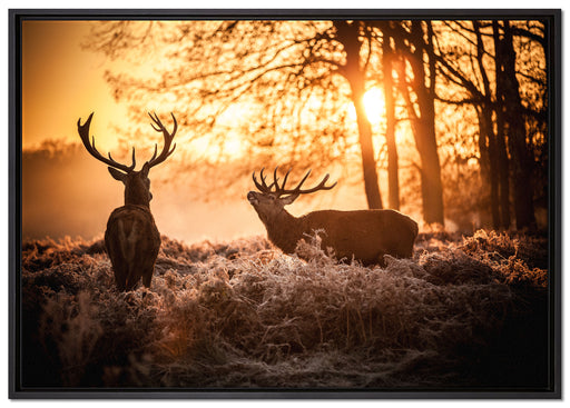 Hirsch Rivalen kämpfen auf Leinwandbild gerahmt Größe 100x70