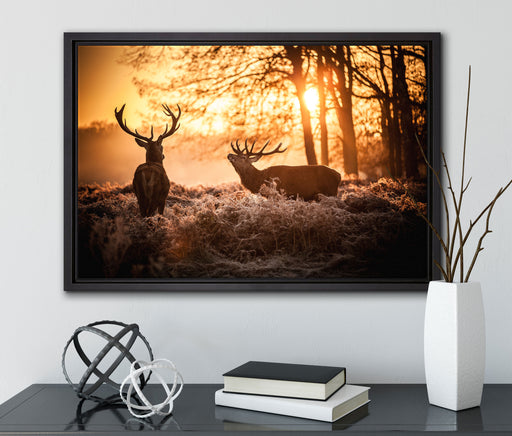 Hirsch Rivalen kämpfen auf Leinwandbild gerahmt mit Kirschblüten