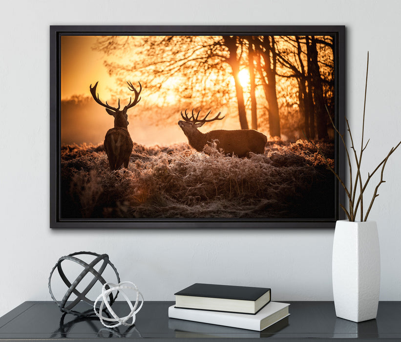 Hirsch Rivalen kämpfen auf Leinwandbild gerahmt mit Kirschblüten