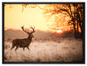 Hirsch im Sonnenuntergang auf Leinwandbild gerahmt Größe 80x60