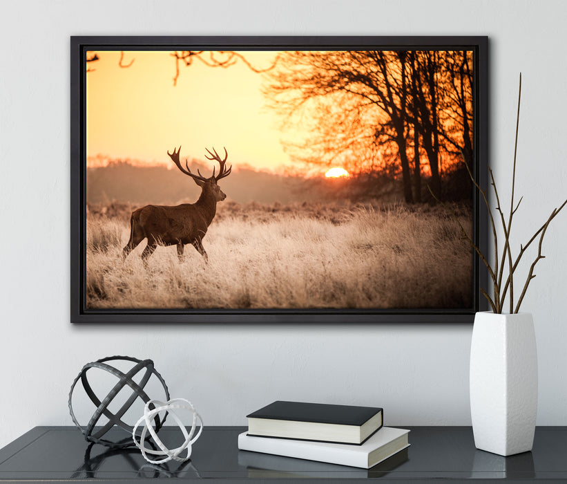 Hirsch im Sonnenuntergang auf Leinwandbild gerahmt mit Kirschblüten