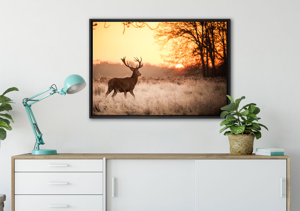 Hirsch im Sonnenuntergang auf Leinwandbild gerahmt verschiedene Größen im Wohnzimmer