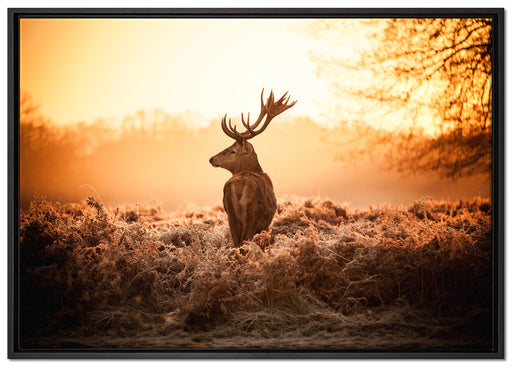 Stolzer Hirsch auf Leinwandbild gerahmt Größe 100x70