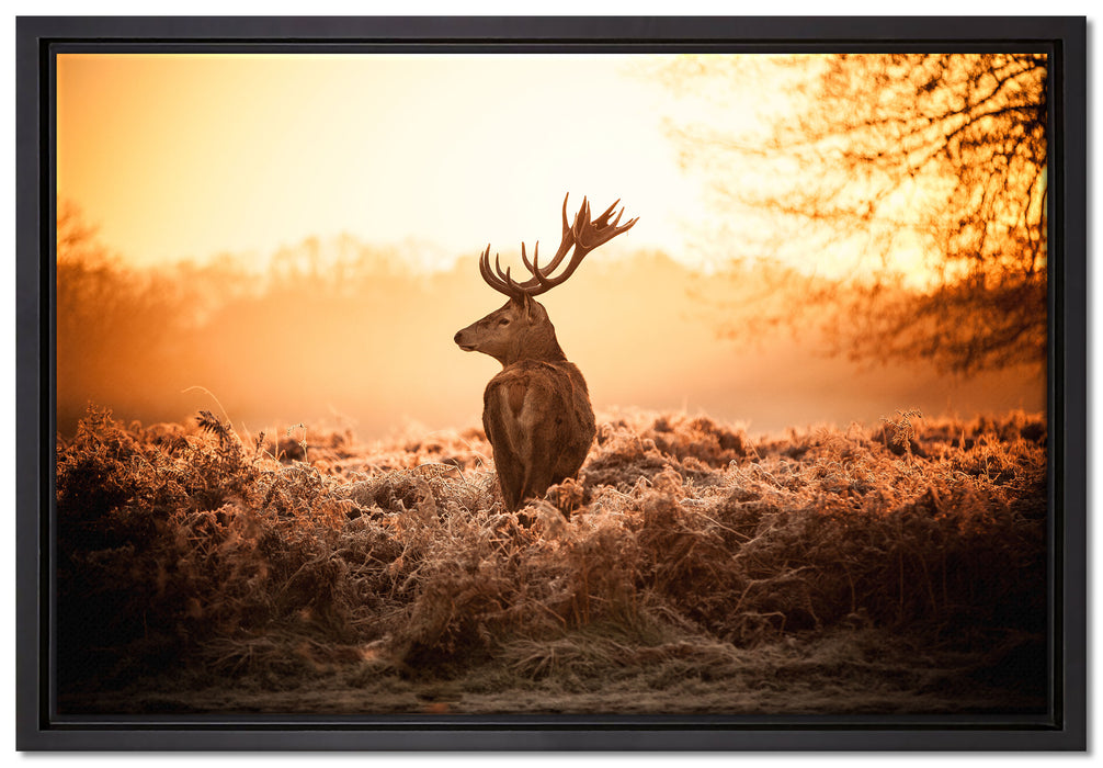 Stolzer Hirsch auf Leinwandbild gerahmt Größe 60x40