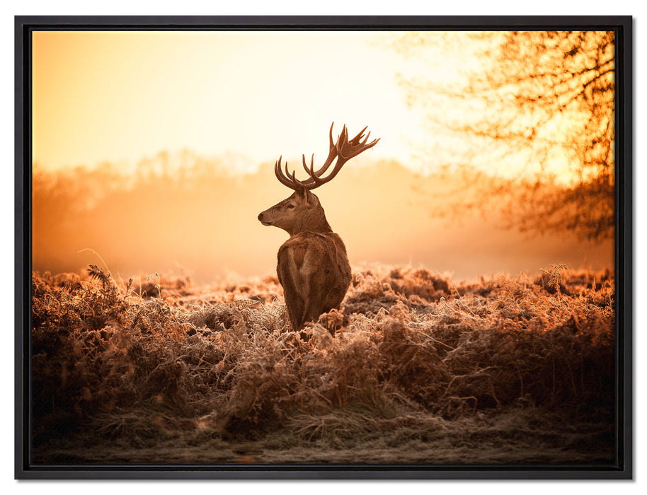 Stolzer Hirsch auf Leinwandbild gerahmt Größe 80x60