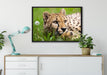 Gepard im Gras auf Leinwandbild gerahmt verschiedene Größen im Wohnzimmer