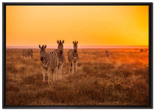 Zebra in der Savanne auf Leinwandbild gerahmt Größe 100x70