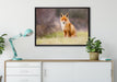 Listiger Fuchs auf Leinwandbild gerahmt verschiedene Größen im Wohnzimmer