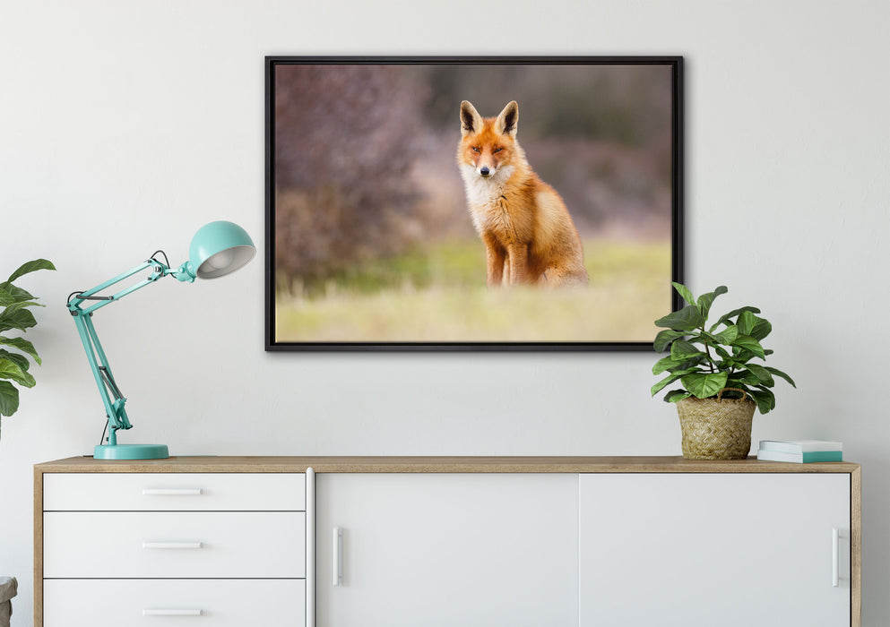 Listiger Fuchs auf Leinwandbild gerahmt verschiedene Größen im Wohnzimmer