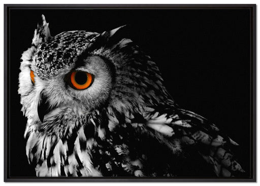 Dark Eule mit orangen Augen auf Leinwandbild gerahmt Größe 100x70