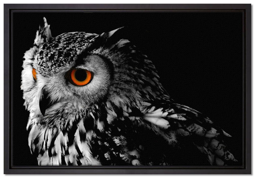 Dark Eule mit orangen Augen auf Leinwandbild gerahmt Größe 60x40