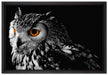 Dark Eule mit orangen Augen auf Leinwandbild gerahmt Größe 60x40