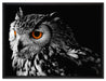 Dark Eule mit orangen Augen auf Leinwandbild gerahmt Größe 80x60