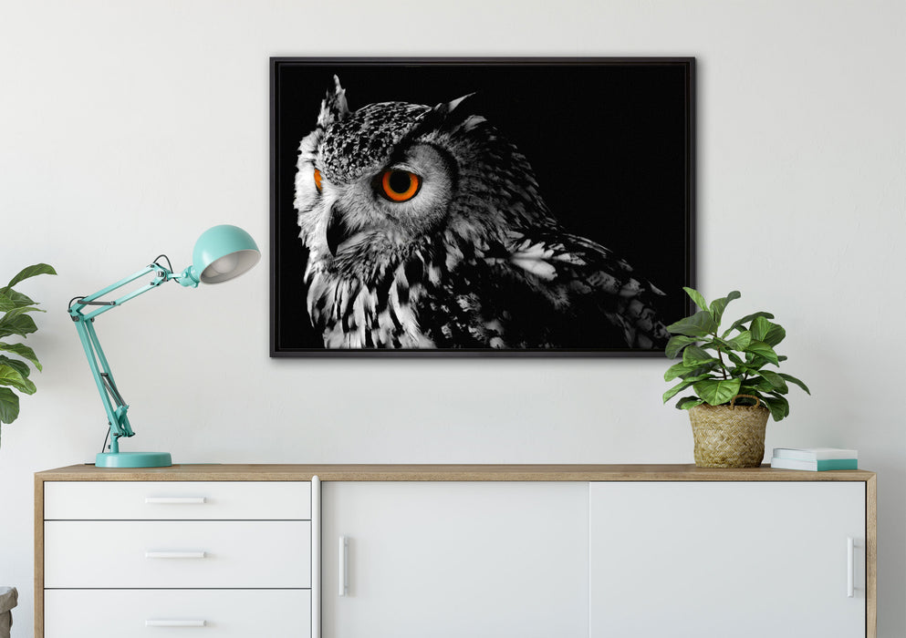 Dark Eule mit orangen Augen auf Leinwandbild gerahmt verschiedene Größen im Wohnzimmer