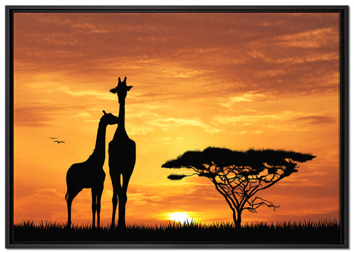 Giraffen im Sonnenuntergang auf Leinwandbild gerahmt Größe 100x70