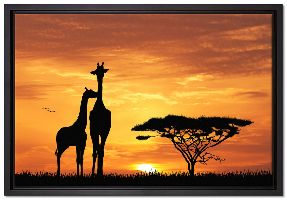 Giraffen im Sonnenuntergang auf Leinwandbild gerahmt Größe 60x40