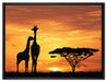 Giraffen im Sonnenuntergang auf Leinwandbild gerahmt Größe 80x60