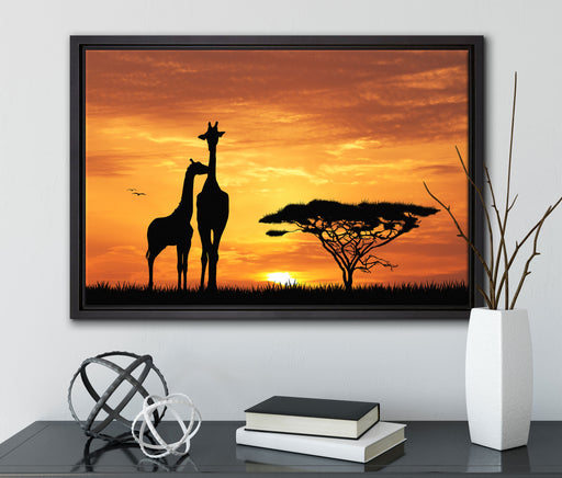 Giraffen im Sonnenuntergang auf Leinwandbild gerahmt mit Kirschblüten