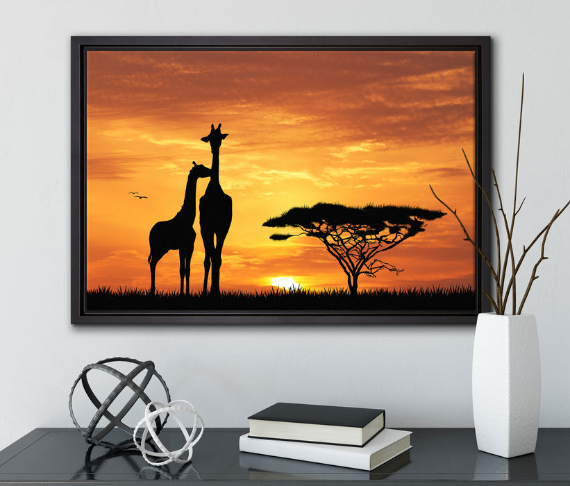 Giraffen im Sonnenuntergang auf Leinwandbild gerahmt mit Kirschblüten