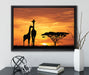 Giraffen im Sonnenuntergang auf Leinwandbild gerahmt mit Kirschblüten