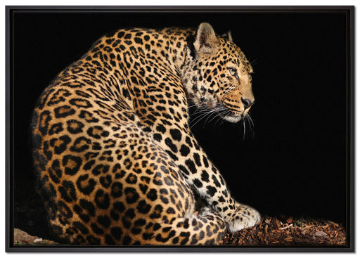 Anmutiger Leopard auf Leinwandbild gerahmt Größe 100x70