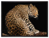 Anmutiger Leopard auf Leinwandbild gerahmt Größe 80x60