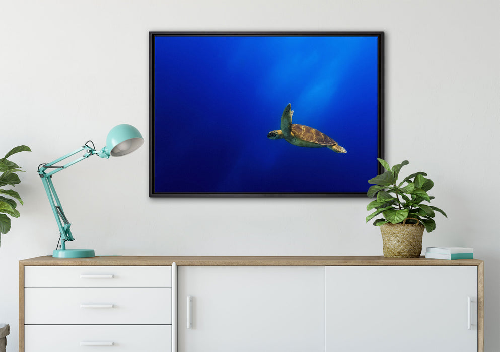 Alte Schildkröte im Meer auf Leinwandbild gerahmt verschiedene Größen im Wohnzimmer