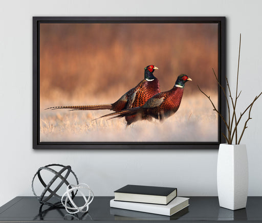 Stolzes Fasanenpärchen auf Leinwandbild gerahmt mit Kirschblüten